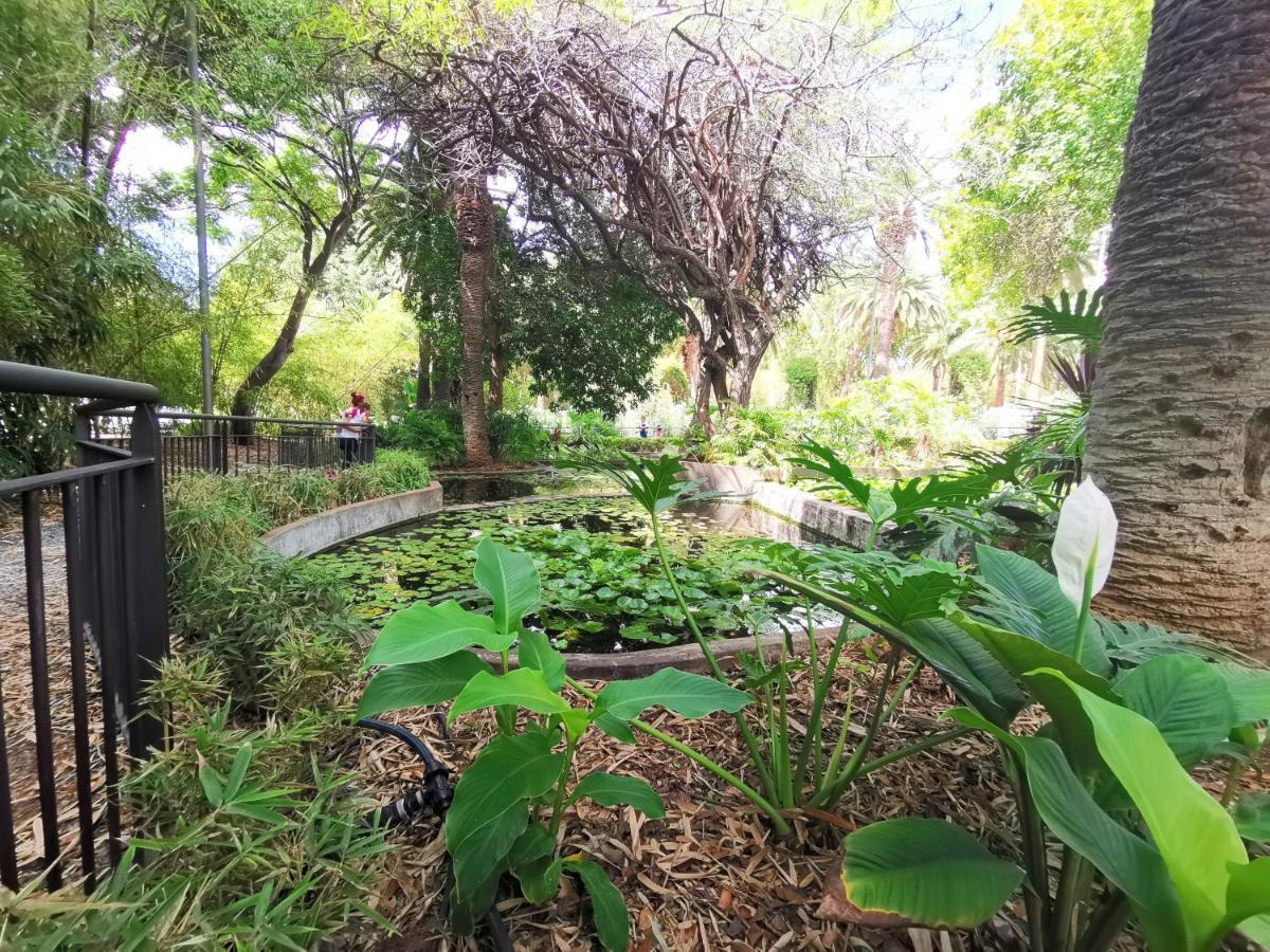 Home2Book Charming Studio Santa Cruz City Views מראה חיצוני תמונה